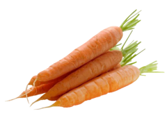 carottes sachet 1kg