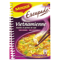 Soupe deshydratee Vietnamienne au poulet et soja MAGGI, 40g, 75cl