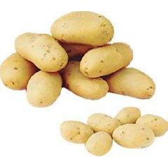 Selectionne par votre magasin, Pommes de terre de consommation a chair ferme CESAR, en filet deja pese de 10 kg