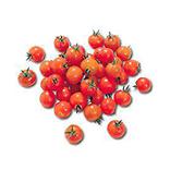 Tomates cerise rubis, SAVEOL, carégorie 1, France 250 g