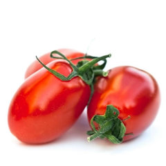 Saveol tomate torino barquette 600g