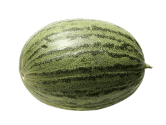 Melon vert Pièce