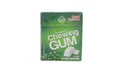 Chewing-gum sans sucre menthe forte 4x20g