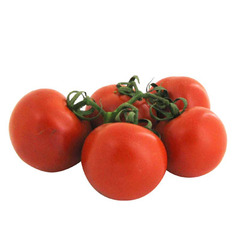 Tomate grappe bio