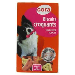 Biscuits croquants pour chien