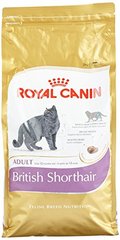 Corquettes pour chat Breed Nutrition British shorthair