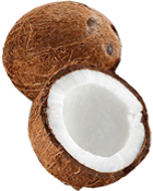 Noix de coco Cat 1