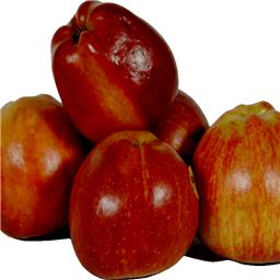 Pommes ROYAL GALA, choisi(es) et emballe(es) par nos equipes