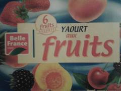 Yaourts fruits panachés 8x125g
