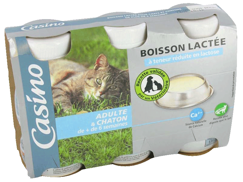 Boisson lactee pour chats et chatons