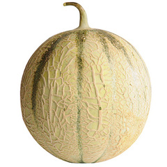 Melon Bio La pièce
