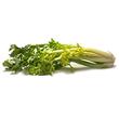 Celeri branche botte Allemagne
