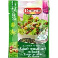 Melange croustillant pour salade au bacon Sachet Malin DUCROS, 20g