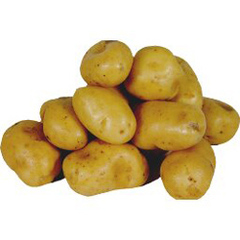 Selectionne par votre magasin, Pommes de terre de consommation a chair ferme CHARLOTTE, en filet deja pesee de 1 kg