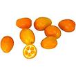 Kumquat, Afrique du Sud 250 g