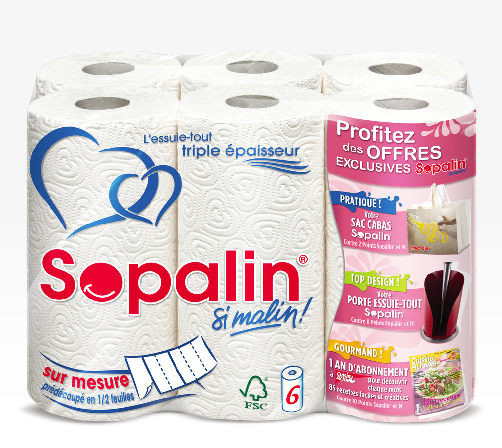 Essuie-tout sur mesure SOPALIN : le paquet de 8 rouleaux à Prix Carrefour
