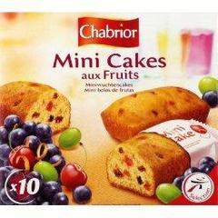 Mini cakes aux fruits, le paquet de 10 - 300g