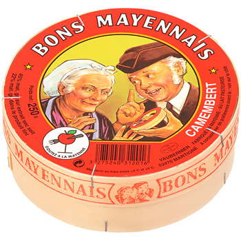 Bons Mayennais, Camembert au lait pasteurise, le fromage, 250g
