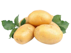 Pommes de terre de consommation Lunor entieres precuites 500g