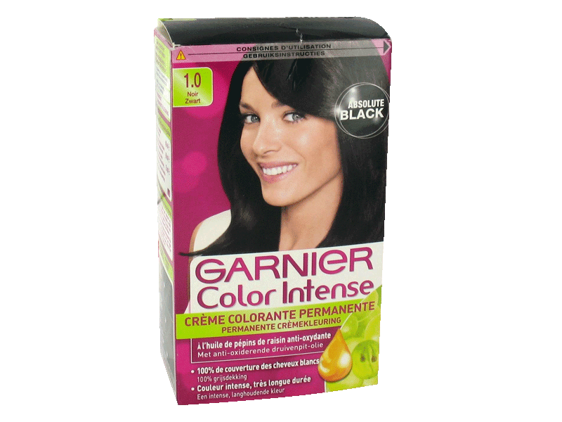 Garnier - Color Intense - Coloration permanente Noir - 1.0 noir - Lot de 2