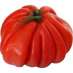 Tomate type Cœur de Bœuf