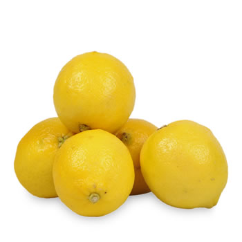 Selectionne par votre magasin, Citrons JAUNES, en filet deja pese de 500 gr