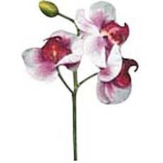 Serviettes en papier Orchidée Blanche 3 plis, 33x33cm, 20 unités