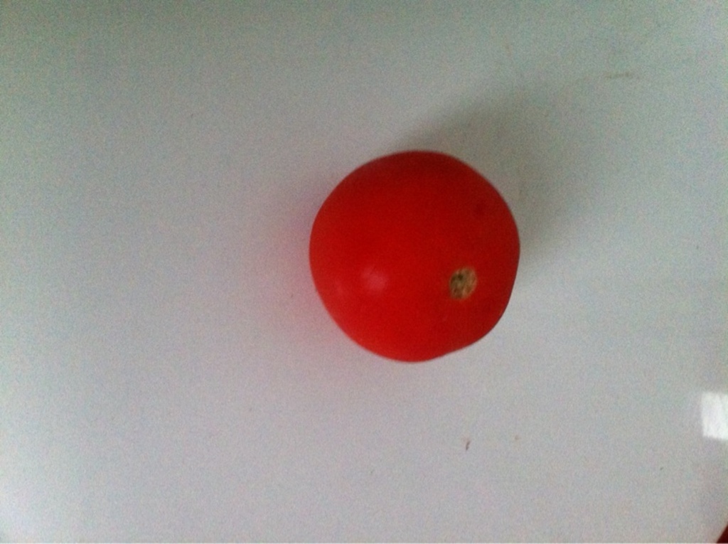 Tomates  grappes Bio